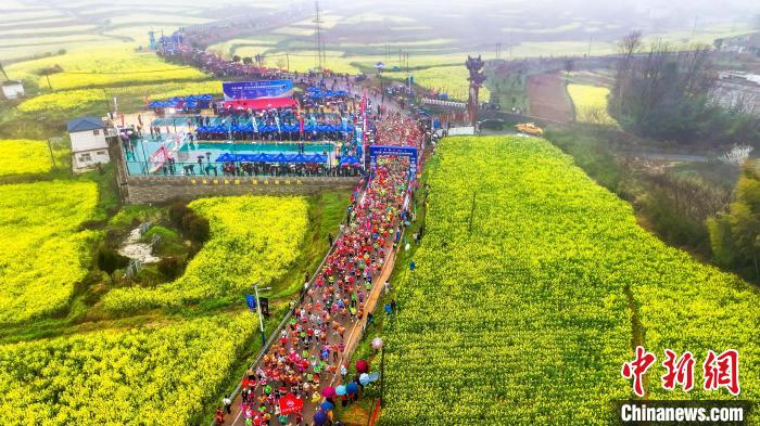 2024瑞昌第四届乡村花海半